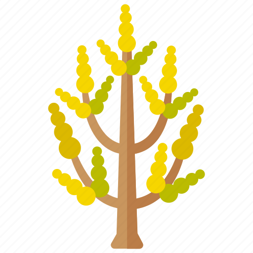 Botanical, branches, ginkgo, leaves, tree icon - Download on Iconfinder