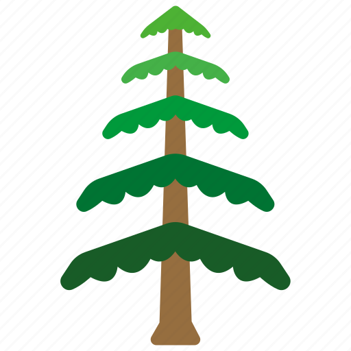 Branches, cedar, evergreen, forestry, leaves, tree icon - Download on Iconfinder