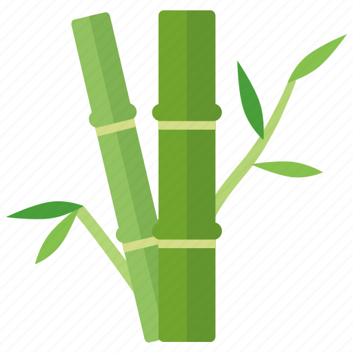 Bamboo, china, forest, panda, shoots, tree icon - Download on Iconfinder