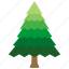 aspen, christmas, evergreen, pine, tree, wood, xmas 