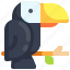 tropical, toucan, bird, animal 