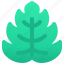 botanical, leaf, plant, vein 