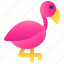 flamingo, bird, animal, pink 