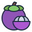 mangosteen, slice, fruit, food, healthy, tropical, fresh, nature 