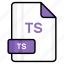 ts, file, format, page, document, sheet, paper 