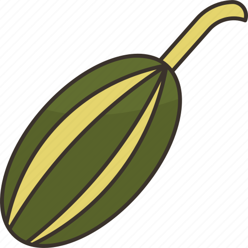 Caperberry, edible, ingredient, plant, mediterranean icon - Download on Iconfinder