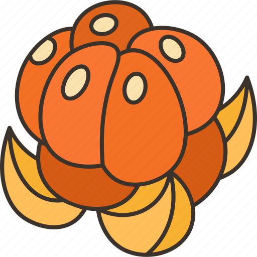 Cloudberry, fruit, sweet, vitamin, wild icon - Download on Iconfinder