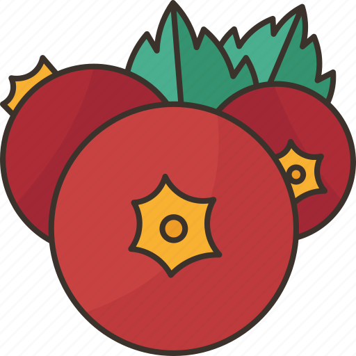 Currants, fruit, berry, antioxidant, vitamin icon - Download on Iconfinder