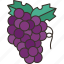 grape, fruit, juicy, sweet, winery 
