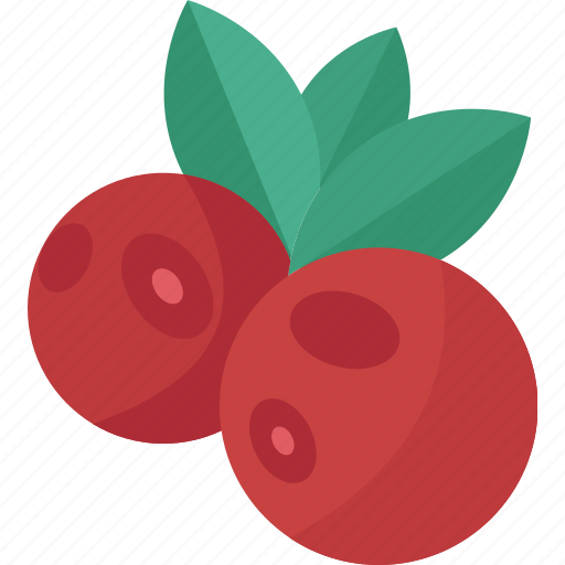 Cowberry, berry, antioxidant, bush, wild icon - Download on Iconfinder