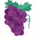 grape, fruit, juicy, sweet, winery
