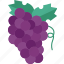 grape, fruit, juicy, sweet, winery 