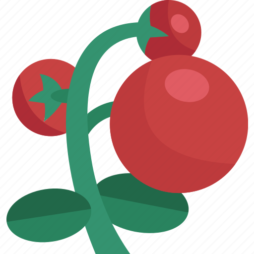 Lingonberry, berries, wild, plant, summer icon - Download on Iconfinder
