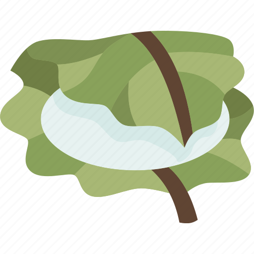 Kashiwamochi, leaf, wrapped, fest, confection icon - Download on Iconfinder