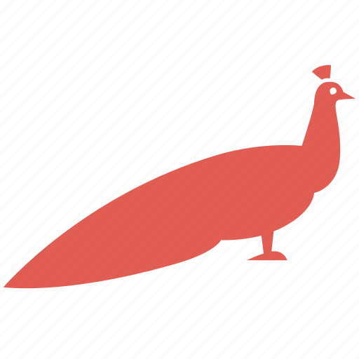 Bird, cooking, farming, feather, food, peacock, poultry icon - Download on Iconfinder