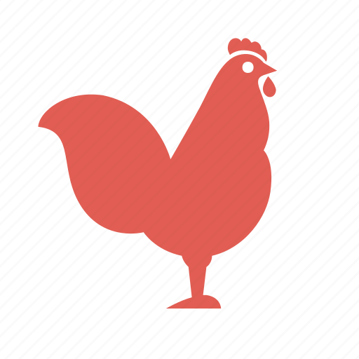 Bird, carcasses, cooking, farming, food, poultry, rooster icon - Download on Iconfinder
