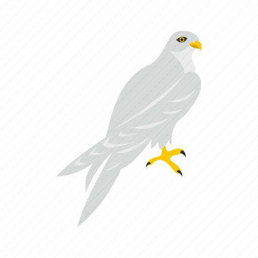American, bird, feather, hawk, head, logo, predator icon - Download on Iconfinder
