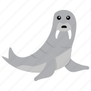 elephant seal, odobenidae, pinniped, sea animal, sea lion 