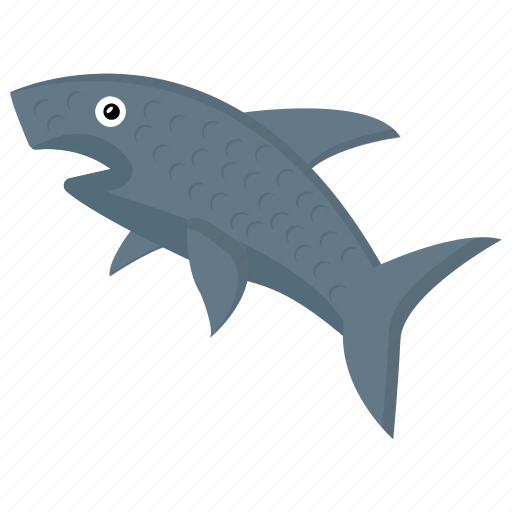 Animal, fish, shark, whale, wildlife icon - Download on Iconfinder