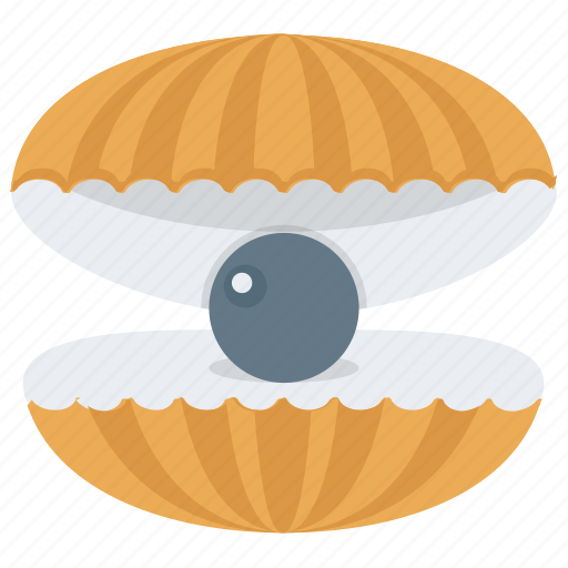 Mollusc, mollusk, opened shell, oyster seashell, seashell pearl icon - Download on Iconfinder