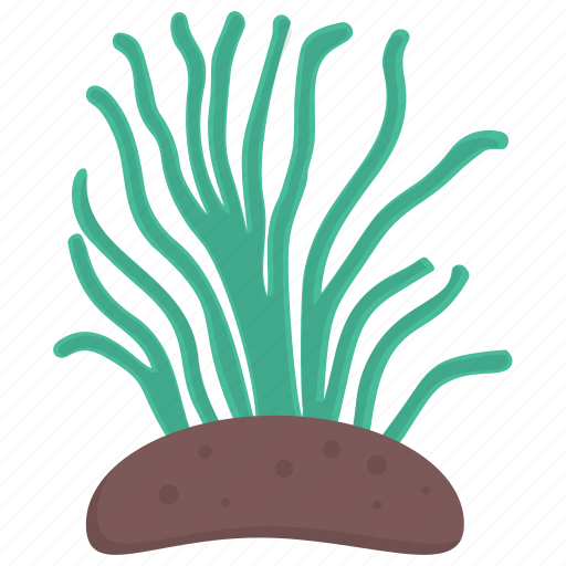 Aquatic plant, edible seaweed, fresh seaweed, green algae, seaweed icon - Download on Iconfinder