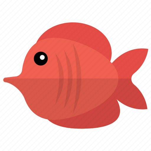 Angelfish, fish, red tang, saltwater fish, tang fish icon - Download on Iconfinder