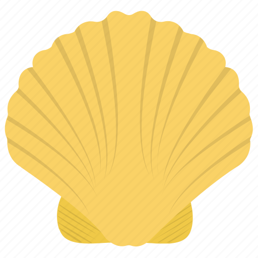 Mollusc, mollusk, oyster seashell, seashell, shell icon - Download on Iconfinder