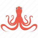 animal, cartoon octopus, octopus, seafood, sealife