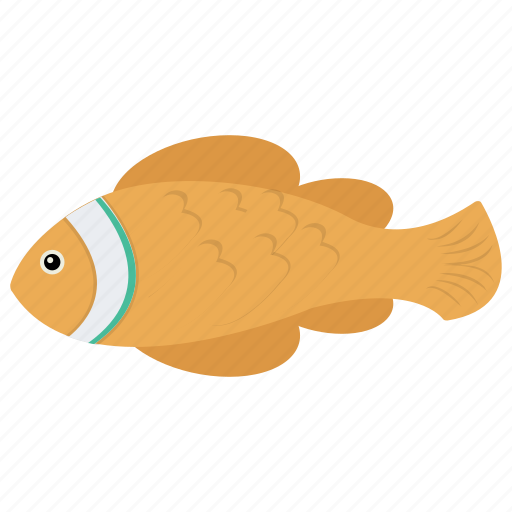 Aquatic fish, chum salmon, fish, freshwater fish, tench icon - Download on Iconfinder