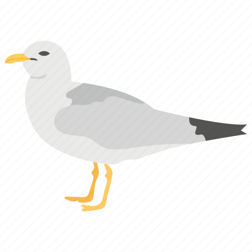 Bird, columbidae, dove, game bird, peace bird icon - Download on Iconfinder