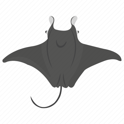 Animal, fish, manta ray, sea life, stingray icon - Download on Iconfinder