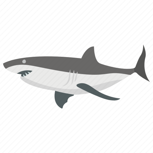 Animal, fish, shark, whale, wildlife icon - Download on Iconfinder