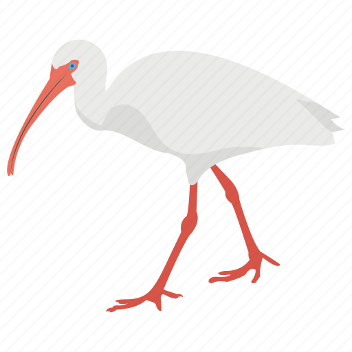 Animal, bird, crane bird, flamingo, gruidae icon - Download on Iconfinder