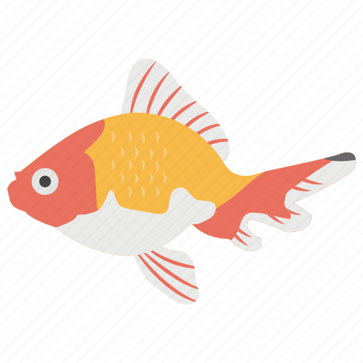 Aquaculture, aquatic, fish, freshwater fish, goldfish icon - Download on Iconfinder