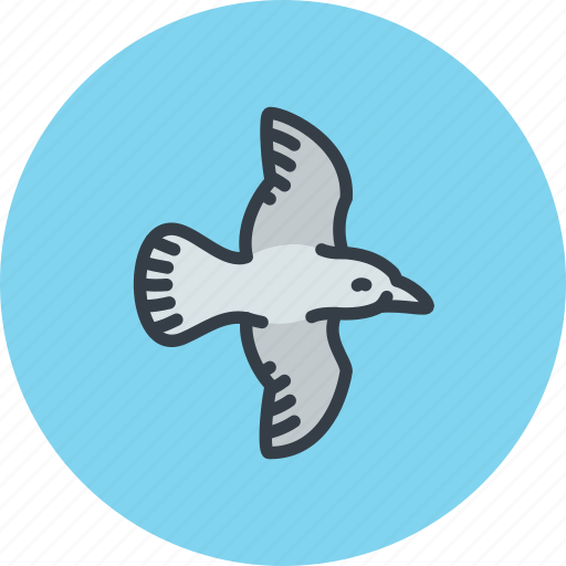 Bird, crow, fly, magpie, seagull icon - Download on Iconfinder