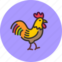 animal, chicken, cock, rooster 