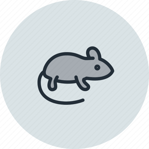 Animal, micky, mouse, rat, rodent icon - Download on Iconfinder