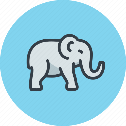 Animal, bishop, elephant, indian, indian tea, mammal icon - Download on Iconfinder