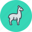 animal, lama, llama, wool 