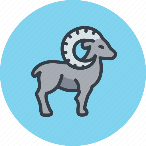 Animal, goat, mountain, mutton, ram, sheep icon - Download on Iconfinder