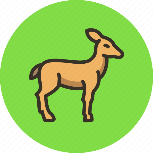 Animal, deer, doe, gazelle, hind, springbok icon - Download on Iconfinder
