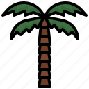 palm, tree, tropical, arab, united, emirates