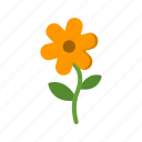 floral, flower, plant
