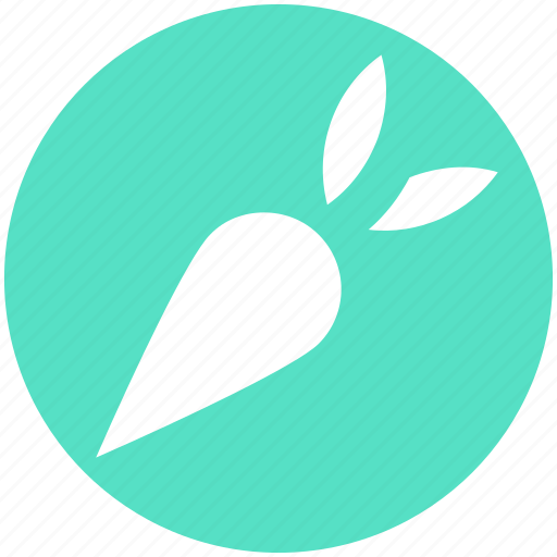 Carrot, crunchy, food, healthy, vegetable icon - Download on Iconfinder