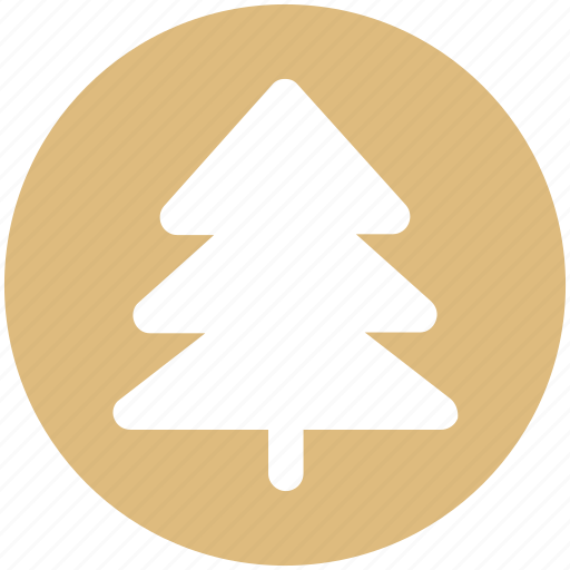 Cypress, forest, nature, pine, summer, tree icon - Download on Iconfinder