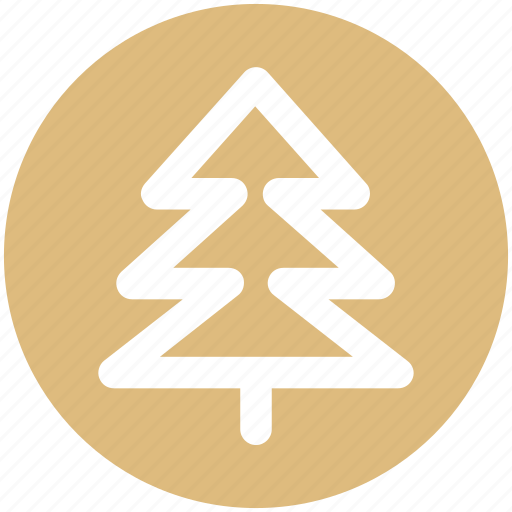 Cypress, forest, nature, pine, summer, tree icon - Download on Iconfinder