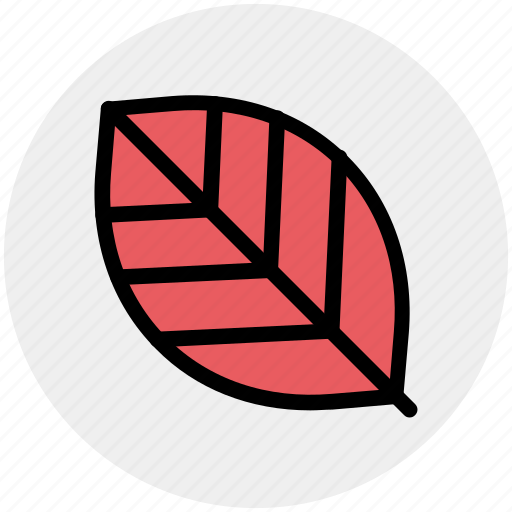 Ecology, leaf, nature, plant icon - Download on Iconfinder