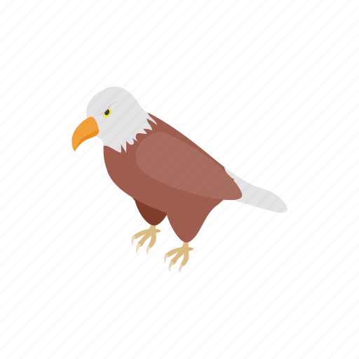 Animal, bird, eagle, hawk, isometric, mascot, wing icon - Download on Iconfinder