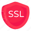 secure socket layer, ssl, security shield, safety shield, buckler 
