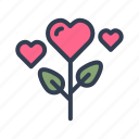 valentine, heart, love, flower, plant